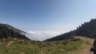 canigou2.jpg