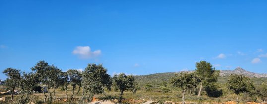 Rivesaltes1.jpg