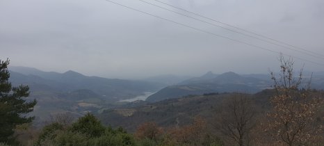 20210306_102833.jpg